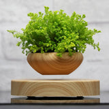 Designer Floating Pot